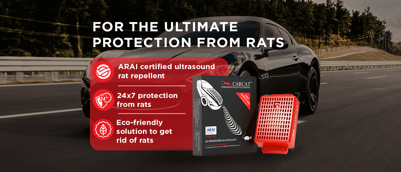 For the ultimate protection from rats