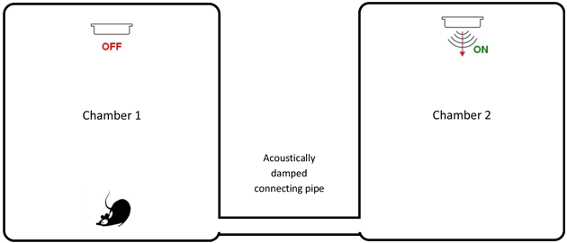 CARCAT test protocol step 2 | ARAI tested