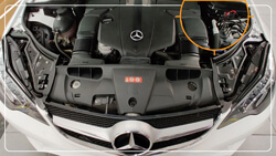 Mercedes|